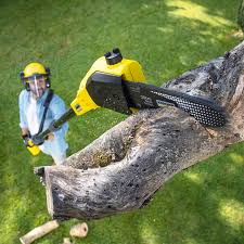 Best Soil Testing and Treatment  in Leadville, CO